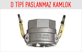 D Tipi Paslanmaz Kamlok