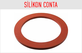 Silikon Conta